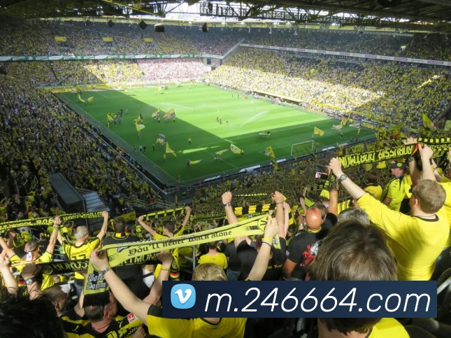 v8体育入口品牌故事