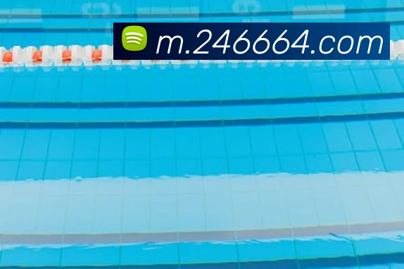 v8体育入口服务体系